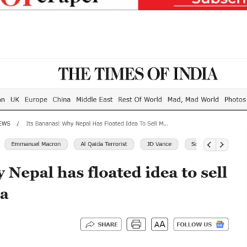 Its bananas! Why Nepal has floated idea to sell monkeys to China